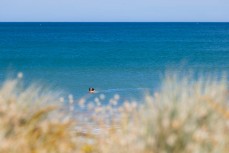 A summer's day at Lyall Bay in Wellington, New Zealand.