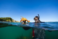 Catching crayfish in Sav's Fridge near Gisborne, Eastland, New Zealand.
