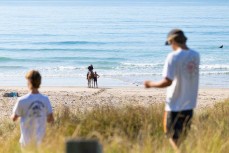 Love Gizzy style – horses at a beachbreak near Gisborne, Eastland, New Zealand.