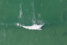 A summer lineup at St Clair, Dunedin, New Zealand.