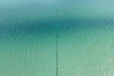 Crystal clear water at Rauone Beach on the Otago Harbour near Harrington Point, Dunedin, New Zealand.
