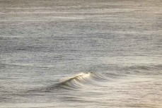 Empty wave at Tomahawk Beach, Dunedin, New Zealand.Photo: Derek Morrison