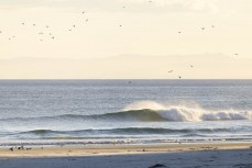Empty wave at Tomahawk Beach, Dunedin, New Zealand.Photo: Derek Morrison