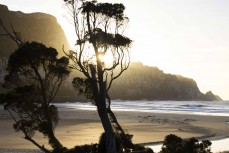 Dawn breaks at a remote beach break in the Catlins, New Zealand. Photo: Derek Morrison