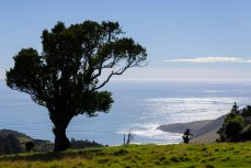 The lineup during a swell on the north coast of Dunedin, New Zealand.