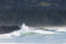 The lineup during a swell on the north coast of Dunedin, New Zealand.