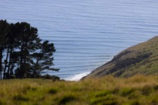 Line up during a swell on the north coast of Dunedin, New Zealand.
