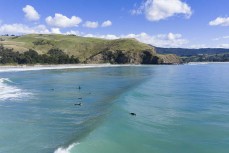 Swell wrapping in with a seal frolicking during a swell on the north coast of Dunedin, New Zealand.
