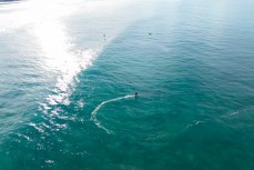 A foiler rides a wave at St Clair, Dunedin, New Zealand.