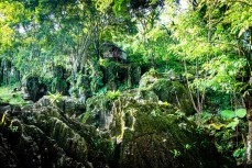 Rockland at Bukit Lawang in the village near the Leuser National Park at Bukit Lawang, Northern Sumatra, Indonesia.