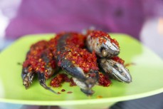 Chilli salted fish for sale near Lake Toba, Northern Sumatra, Indonesia.