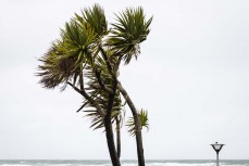 Winter storm lashes St Clair, Dunedin, New Zealand.Photo: Derek Morrison