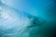 A surfer rides a hollow wave at St Kilda Beach, Dunedin, New Zealand.