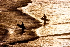 Limited Edition: Surfers return to shore at Blackhead Beach, Dunedin, New Zealand. 